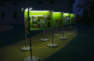 Wystawa Plenerowa w Brzeźnicy oświetlona LED-ami - w nocy wygląda obłędnie